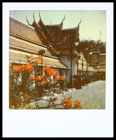 PX680A2B11336.jpg