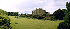 culzeintn
