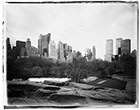 ny-07tn