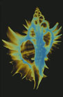 EGI00009.jpg